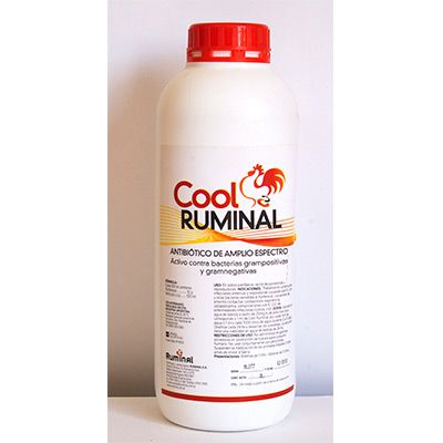 Cool Ruminal 