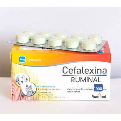 Cefalexina Ruminal 1000 mg 